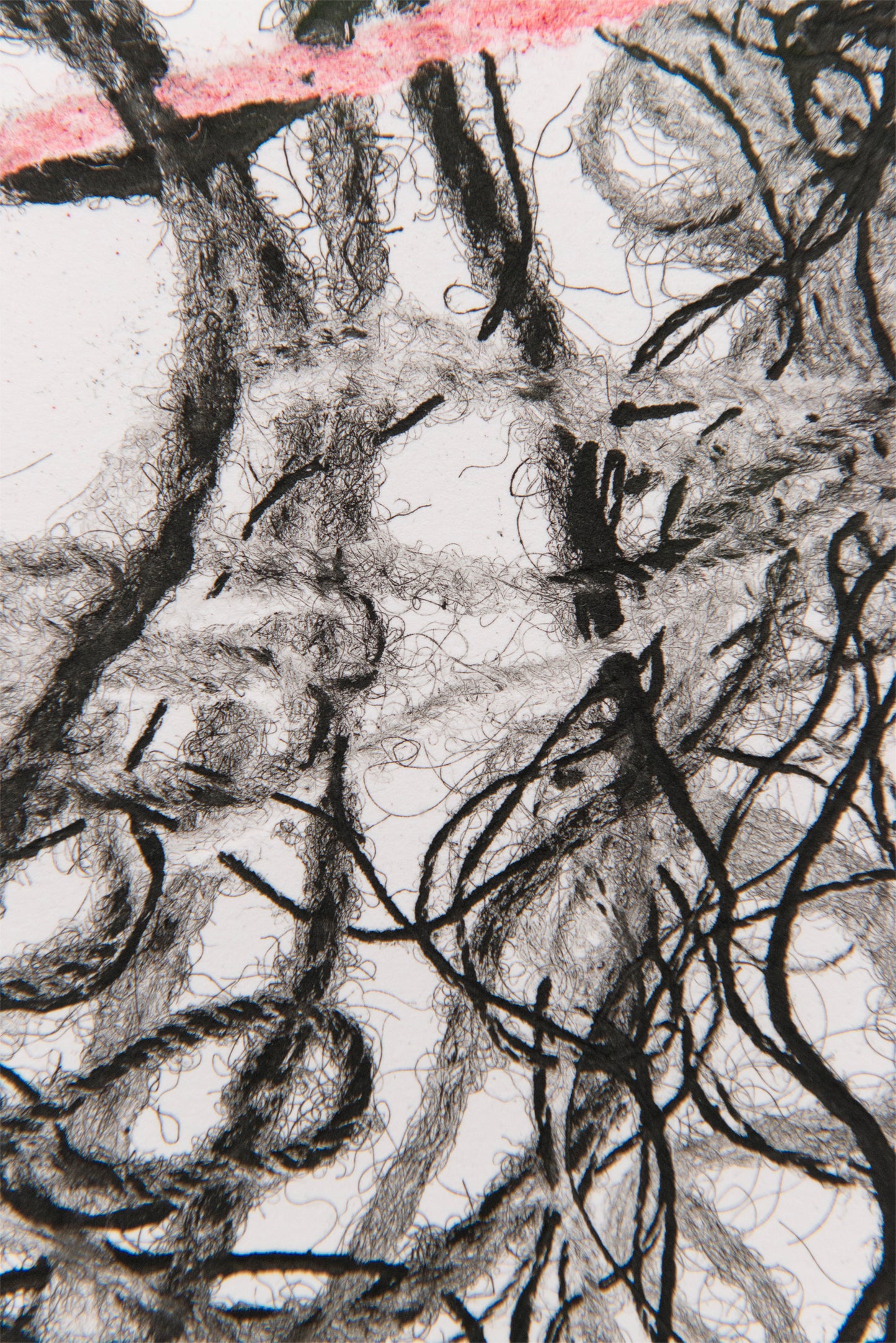 Krat VI, 2025 by Maria Zahle